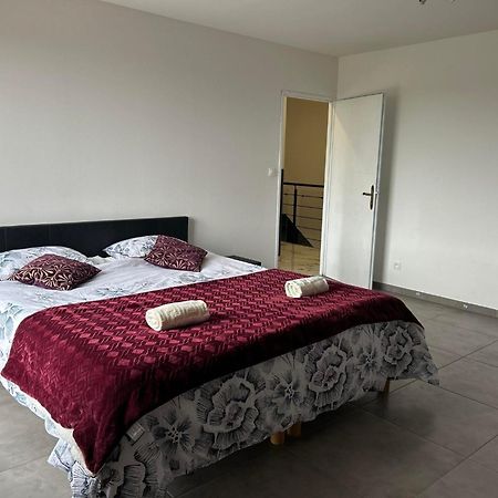 Magnifique Villa Avec Piscine Beaujolais Gleize Ngoại thất bức ảnh